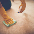 Limpador de tapetes e carpetes: fórmula caseira para remover sujeiras e odores